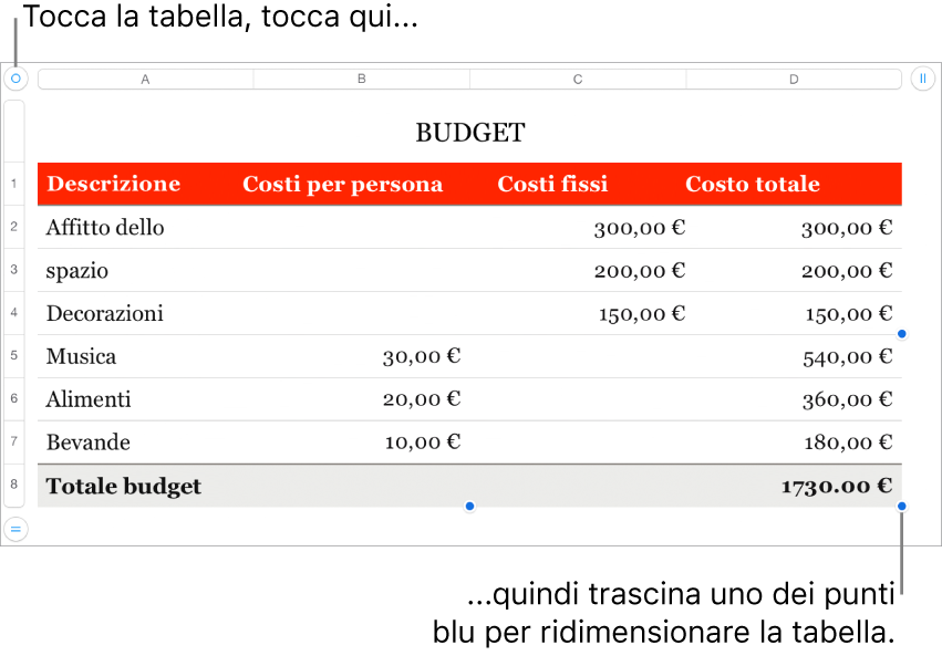 Tabella selezionata con punti blu per il ridimensionamento.