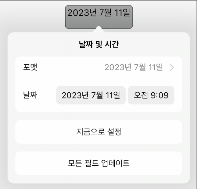 날짜 포맷에 대한 팝업 메뉴와 ‘지금으로 설정’ 및 ‘모든 필드 업데이트’ 버튼을 표시하는 날짜 및 시간 제어기.