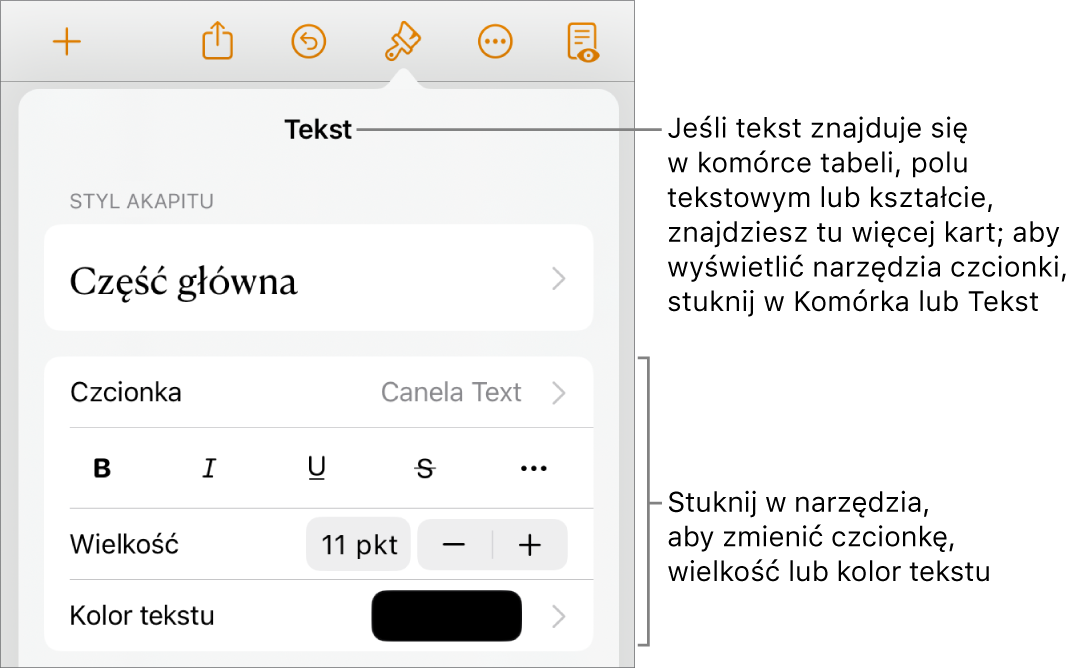 Narzędzia tekstów w menu Format służą do ustawiania stylów akapitu i znaków oraz czcionek ich wielkości i koloru.