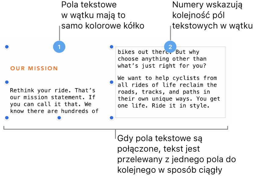 Dwa pola tekstowe z purpurowym kółkiem na górze oraz liczbą 1 i 2 w danym kółku.