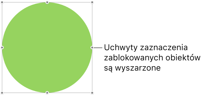 Zablokowany obiekt z wyszarzonymi uchwytami zaznaczenia.