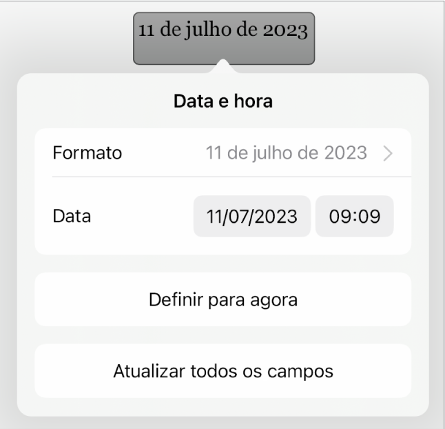 Os controlos “Data e hora” a mostrar um menu pop-up para "Formatação” da data e os botões “Definir para agora” e “Atualizar todos os campos”.