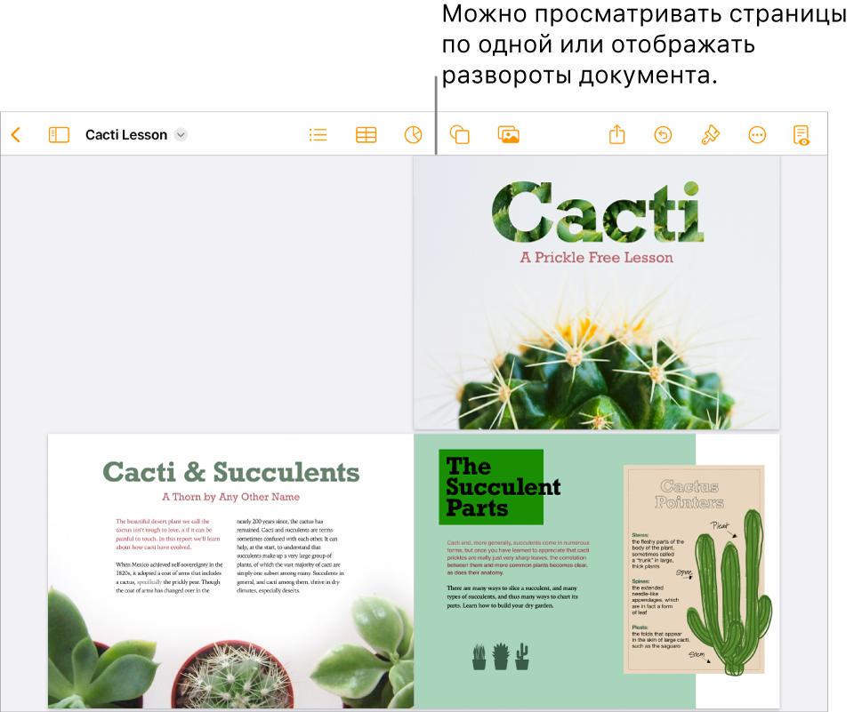 Документ, открытый в виде разворотов на две страницы.