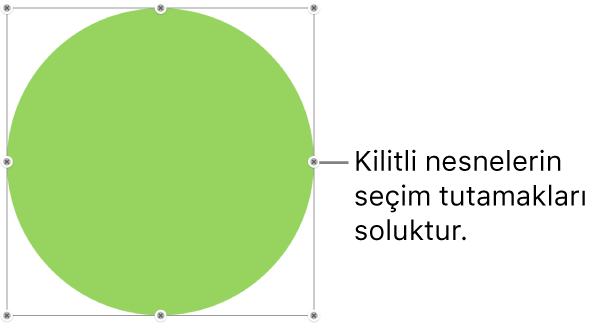 Soluk seçim tutamakları bulunan kilitli nesne.