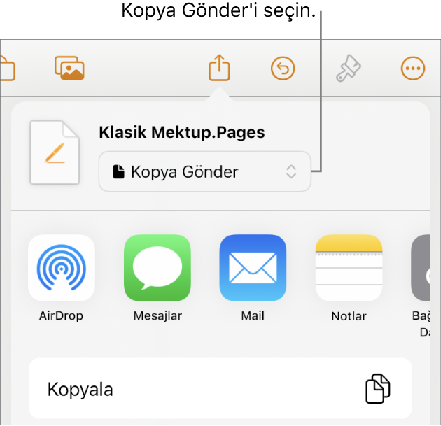 Paylaş menüsü, en üstte Kopya Gönder seçili.