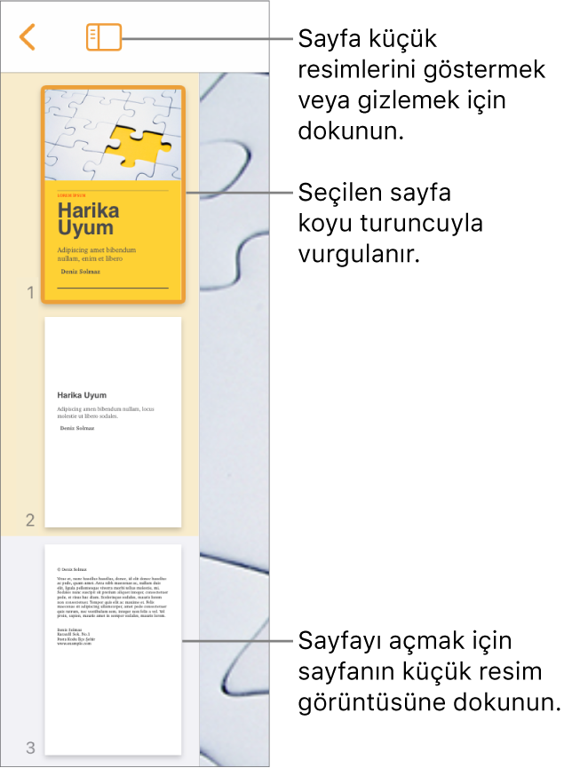 Ekranın sol tarafında bir sayfa seçili şekilde Sayfa Küçük Resimleri görüntüsü. Görüntü Seçenekleri düğmesi, küçük resimlerin üst tarafındadır.