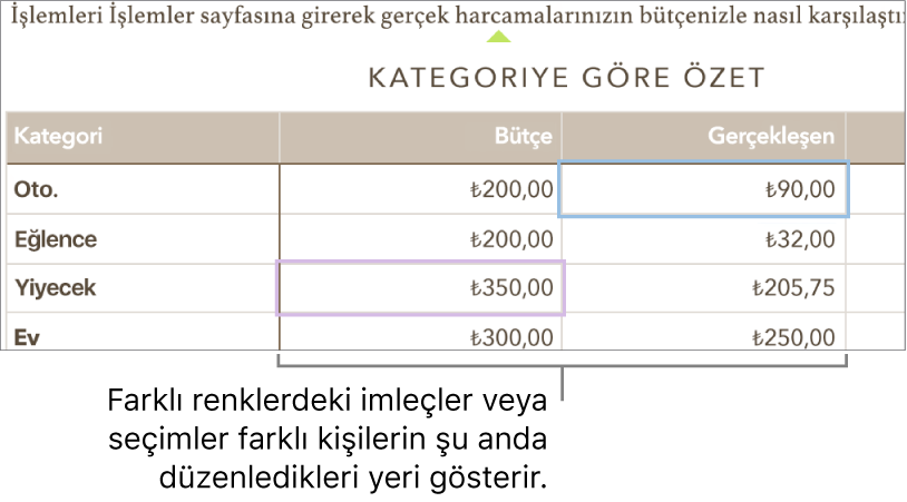 Farklı renklerdeki imleçler ve seçimler, farklı kişilerin nereyi düzenlediğini gösterir.