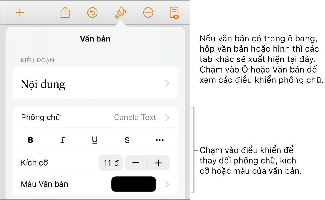 Các điều khiển văn bản trong menu Định dạng để đặt kiểu, phông chữ, kích cỡ và màu của đoạn và ký tự.