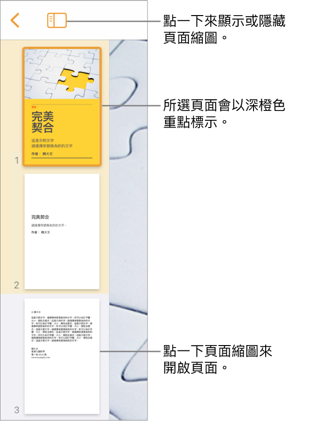 螢幕左側的「頁面縮圖」顯示方式，已選擇一個頁面。「顯示方式選項」按鈕位於縮圖上方。