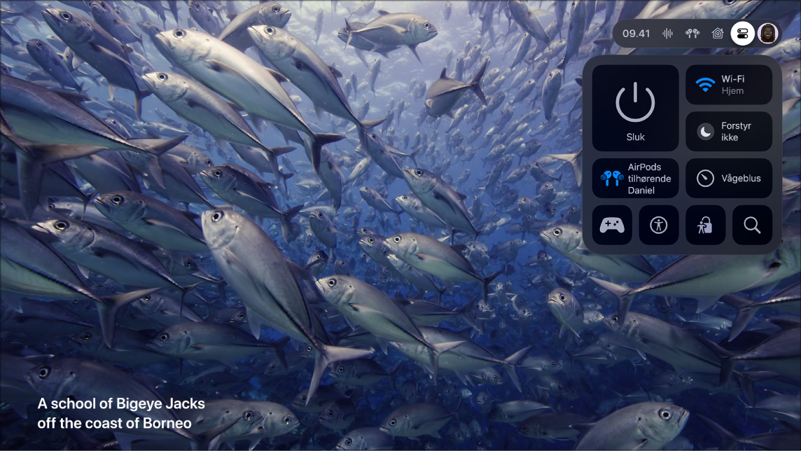 Skærm på Apple TV, der viser Kontrolcenter.