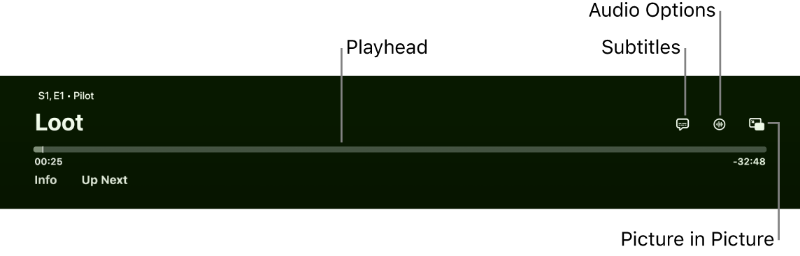 Playback controls