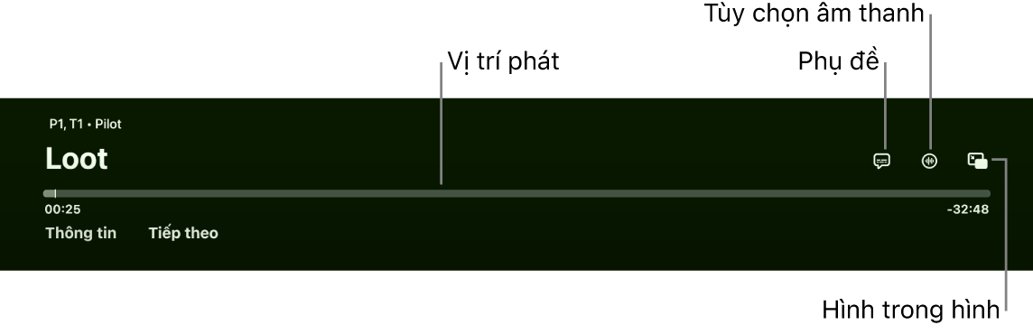 Điều khiển phát lại