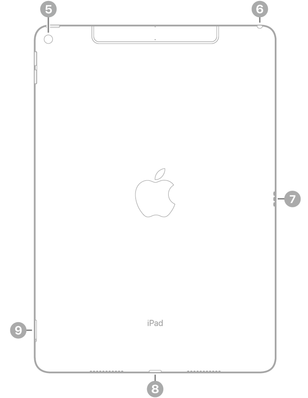 Vista traseira do iPad Air com chamadas para a câmera traseira acima à esquerda, o conector para fone de ouvido acima à direita, o Smart Connector à direita, o conector Lightning no centro abaixo e a bandeja do SIM (Wi-Fi   Cellular) abaixo à esquerda.