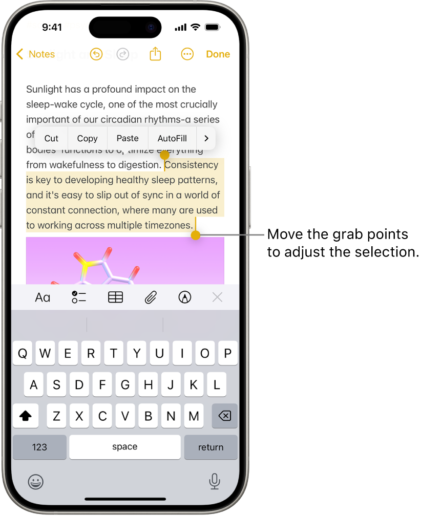 Text is selected in a note in the Notes app. Above the selected text are the Cut, Copy, Paste, and AutoFill buttons. The selected text is highlighted, with grab points to adjust the selection at either end.