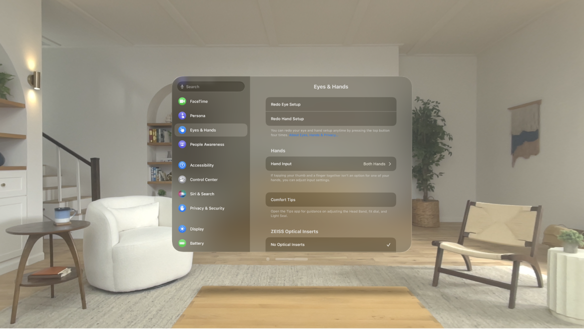 Eyes & Hands settings, with options to redo eye and hand setup, change Hand Input settings, and more.