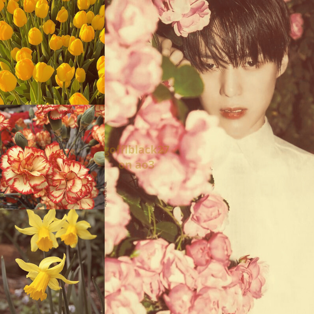 petals-1