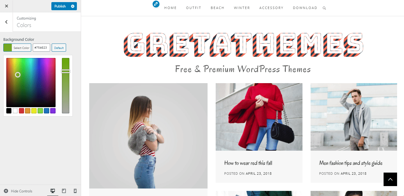 Review the Customizer of the Retro Blog theme