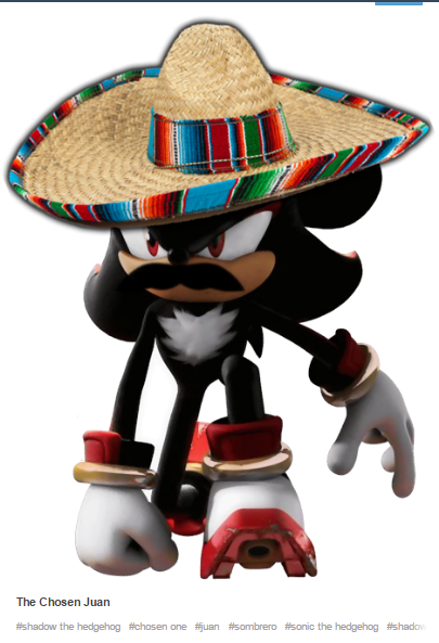 The Chosen Juan #shadow the hedgehog #chosen one uan #sombrero #sonic the hedgehog #shado