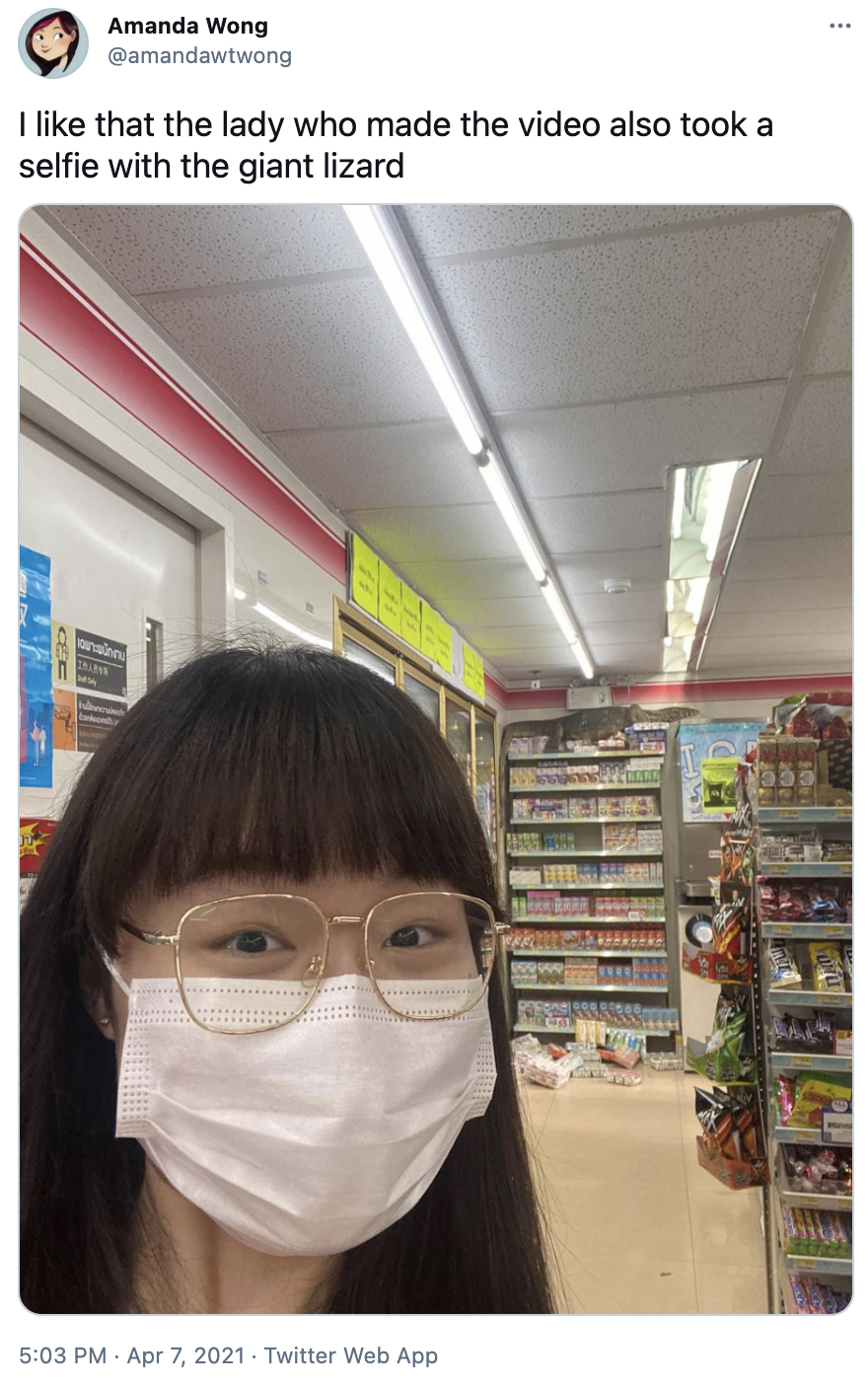 Amanda Wong @amandawtwong I like that the lady who made the video also took a selfie with the giant lizard Ounünnu IGARIN ankeons 5:03 PM · Apr 7, 2021 · Twitter Web App 店