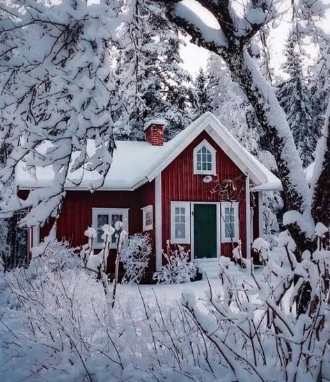 Swedish Homes, Swedish Houses, Scandinavian Houses, Scandinavian Cottage, Swedish Cottage, Sweden House, Red Houses, Winter Cottage, Red Cottage