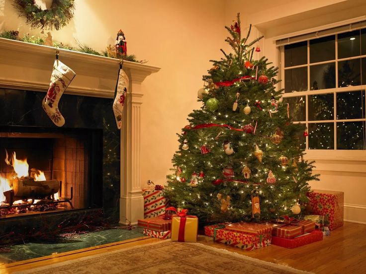 This may contain: a decorated christmas tree sitting in front of a fire place with presents under the stockings