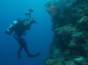 A filmmaker dives into Sylvia Earle’s underwater world in the doc Mission Blue