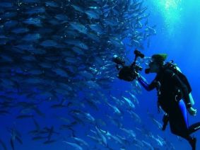 Mission Blue chronicles the life, loves and calling of ocean champion Sylvia Earle