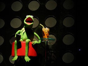 Sweet tea, friendly folks   Kermit the Frog: TEDx takes shape in the South