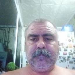 , 51, 