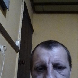 , 44, 