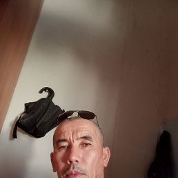 , 46, 