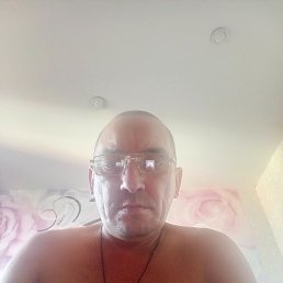 , 44, 