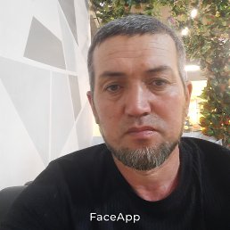 , 40, 