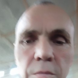 , 59, 