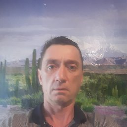 , 48, 