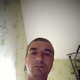 , 40, 