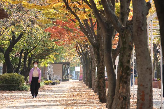 [내일 날씨] 전국 대체로 맑고 일교차 커…낮 20도까지 올라