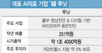 17% 규모 주식 락업해제 앞둔 루닛...주가 반등은 언제쯤