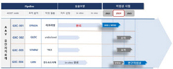 제닉스큐어 “로슈도 주목한 재조합 AAV 완성...연말 빅딜도 가능”