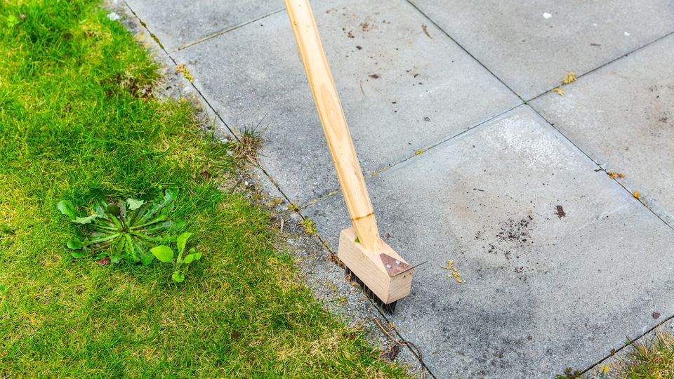 Reinigung von Terrassenrissen mit Metallbesen von Unkraut