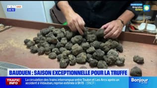 Var: une saison exceptionnelle pour la truffe d'été à Bauduen