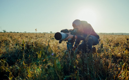 “Guardians” Captured with Blackmagic Cameras.