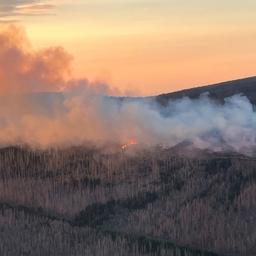 Lichterloh brennt der Wald in einem gesperrten Teil um einen Gipfel im Nationalpark Harz.