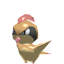 Pidgeotto