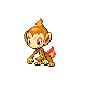 Imagen de Chimchar macho o hembra en Pokémon Oro HeartGold y Plata SoulSilver