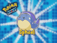 ¡Spheal!