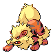 Imagen de Arcanine macho o hembra en Pokémon Platino