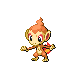 Imagen de Chimchar macho o hembra en Pokémon Diamante y Perla