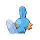 Imagen posterior de Mudkip macho o hembra en la cuarta generación