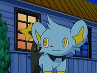 EP567 Shinx.png